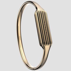 Fitbit Flex 2™ Accessories Bangle